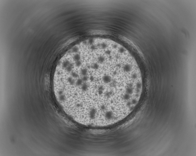 X0000111210825200908121130