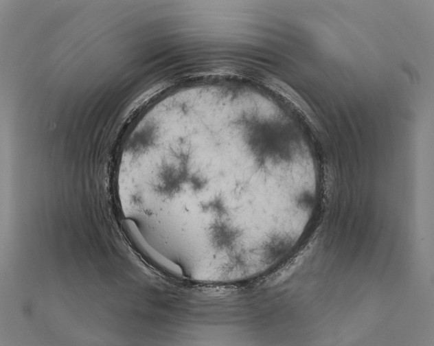 X0000111210826200908121130