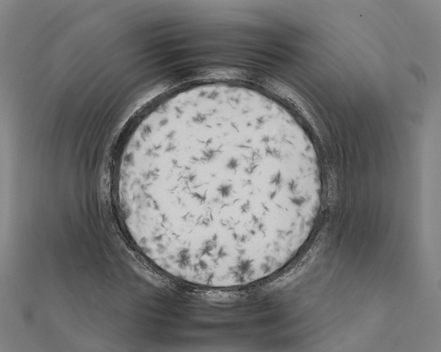 X0000111210827200908121130