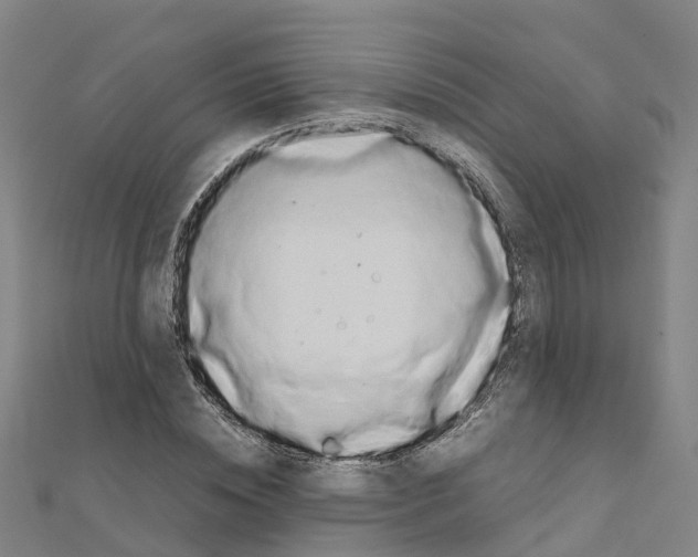 X0000111210828200908121130