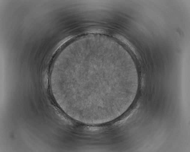 X0000111210829200908121130