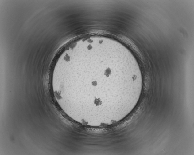 X0000111210831200908121130