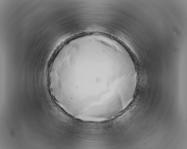 X0000111210832200908121130