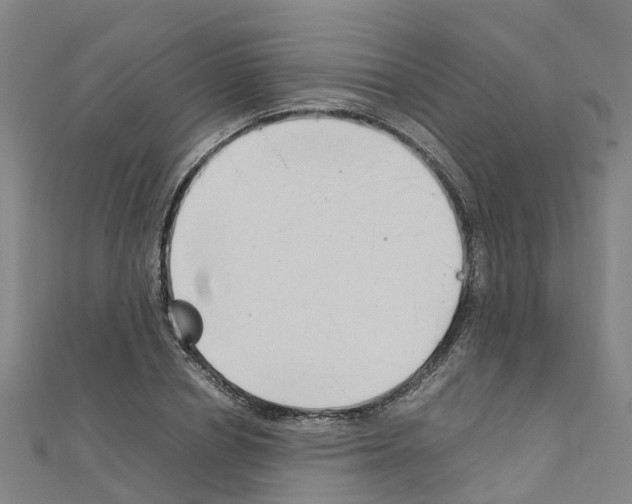 X0000111210834200908121130