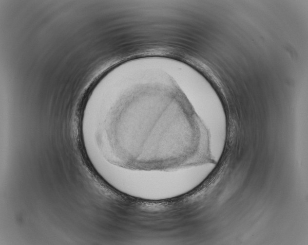 X0000111210835200908121130