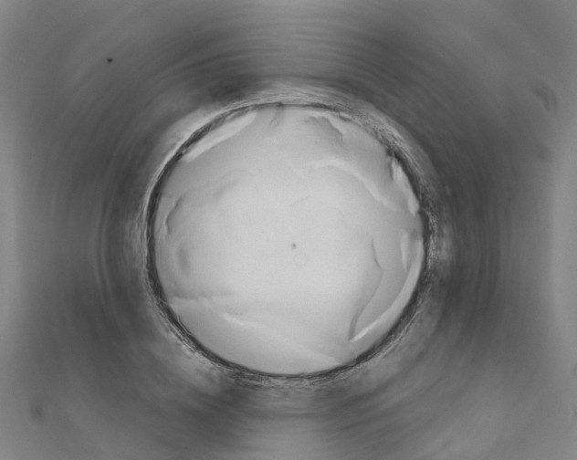 X0000111210836200908121130