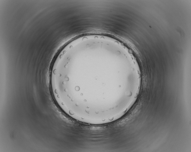 X0000111210839200908121130