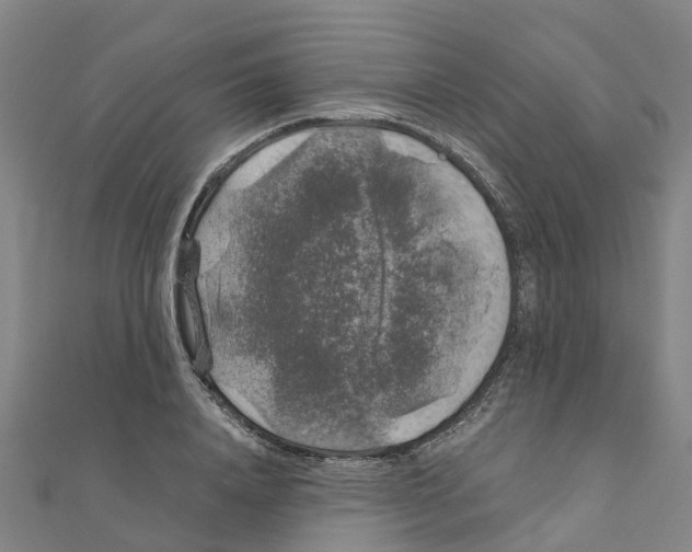 X0000111210840200908121130