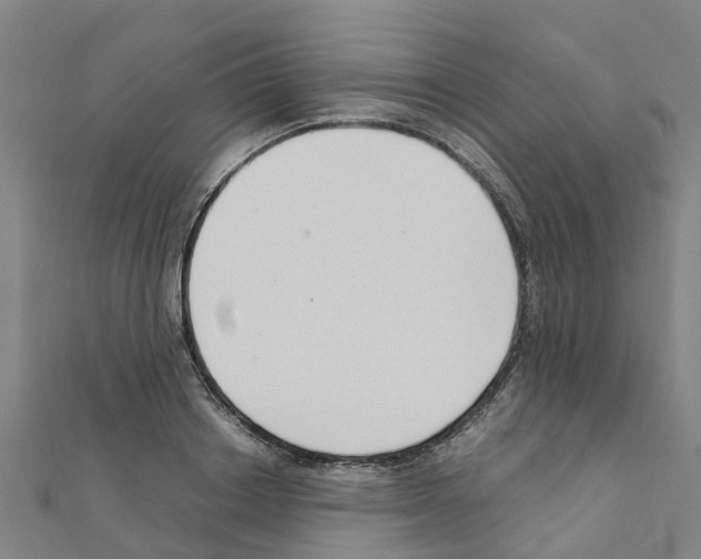 X0000111210842200908121130