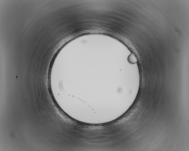 X0000111210845200908121130