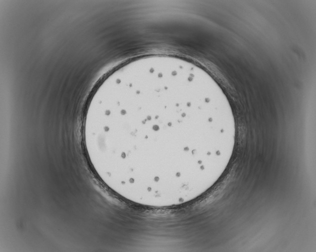 X0000111210846200908121131