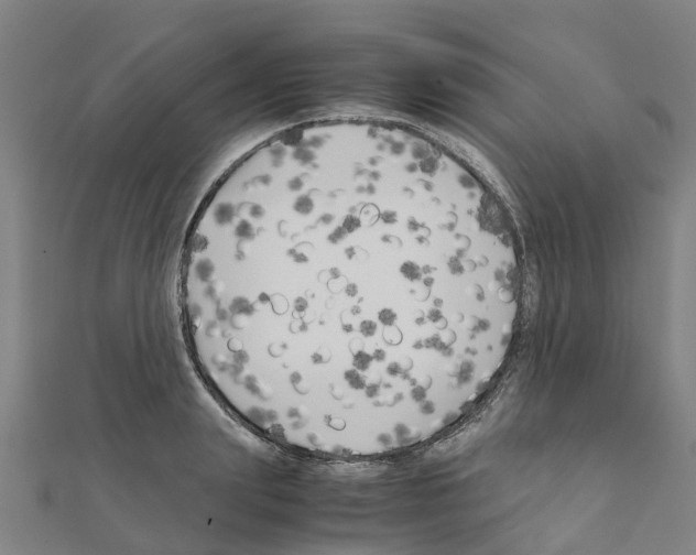 X0000111210847200908121131