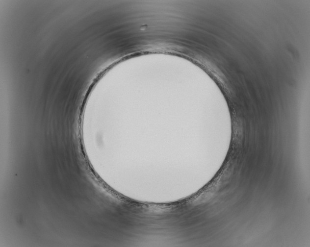 X0000111210848200908121131