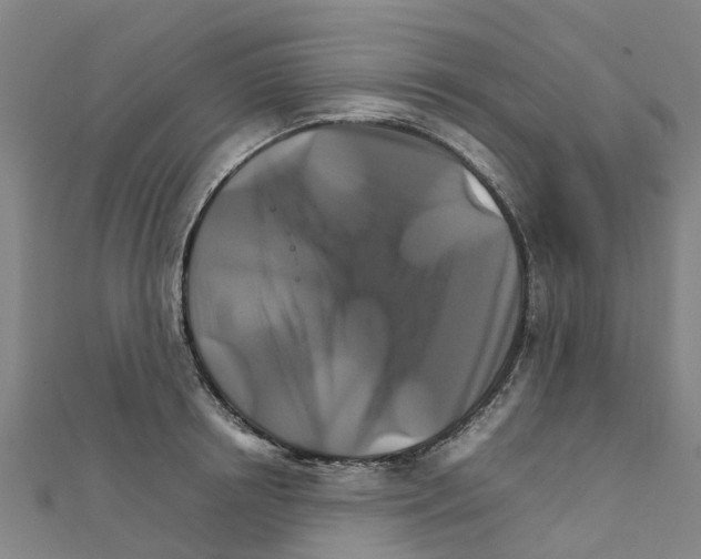 X0000111210850200908121131