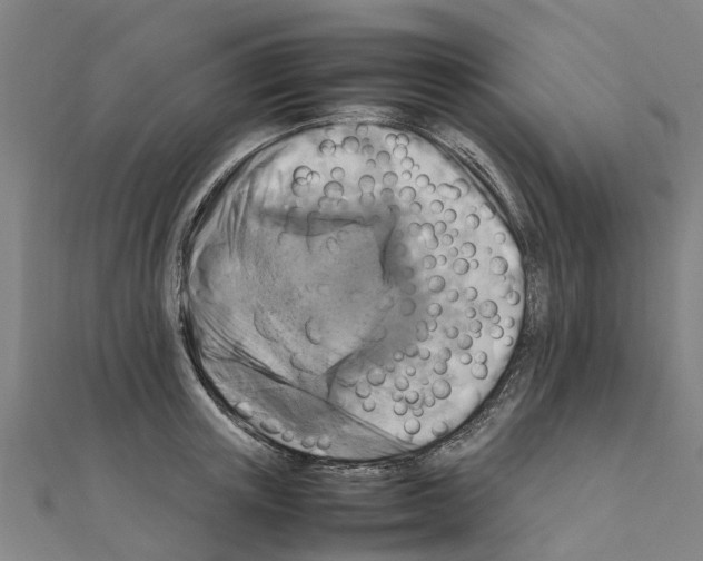 X0000111210851200908121131