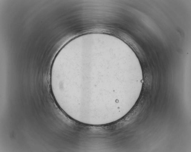 X0000111210852200908121131