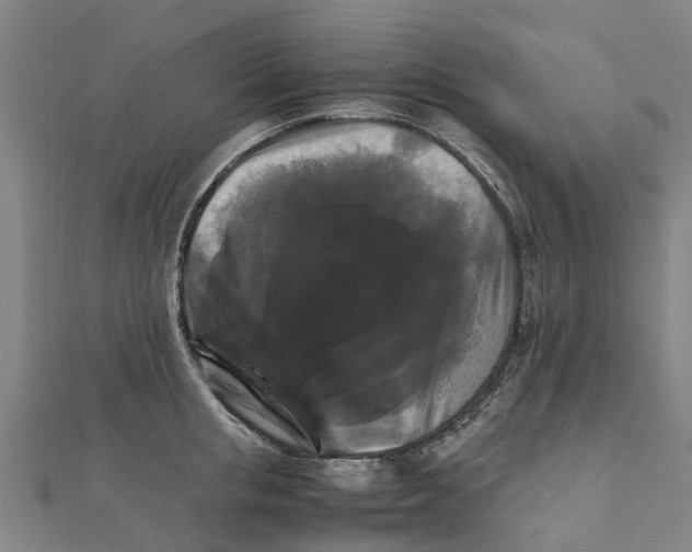 X0000111210853200908121131