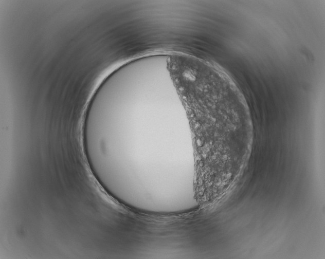 X0000111210854200908121131