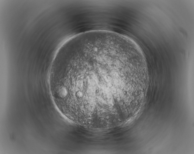 X0000111210855200908121131