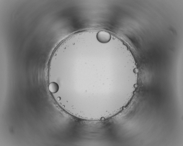 X0000111210856200908121131