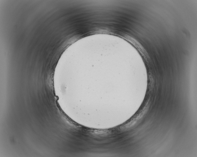 X0000111210857200908121131