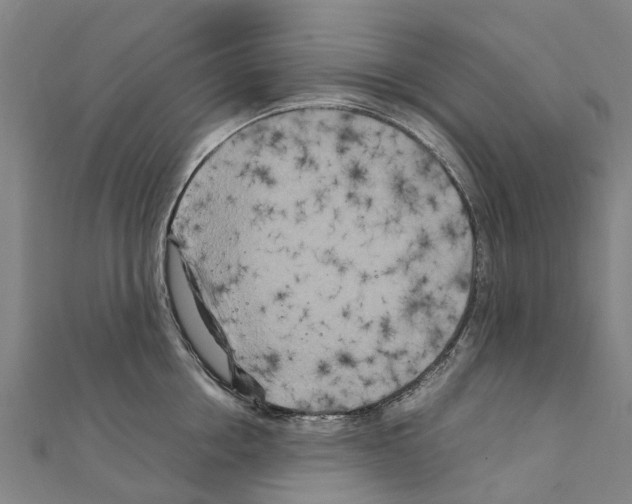 X0000111210858200908121131