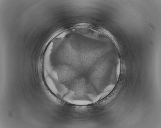 X0000111210859200908121131