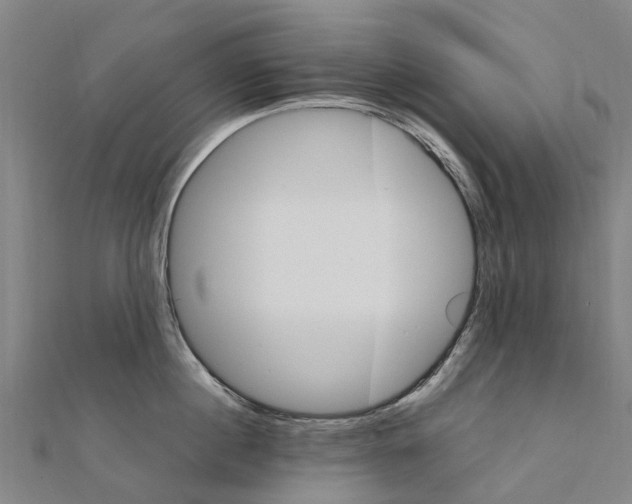 X0000111210860200908121131