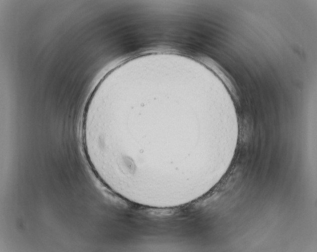 X0000111210861200908121131