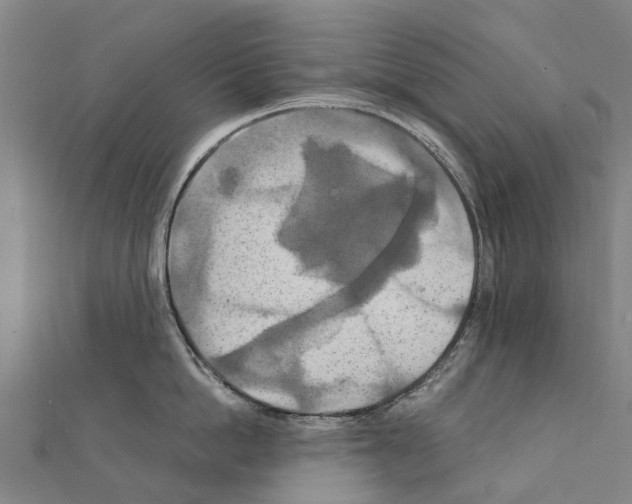 X0000111210862200908121131