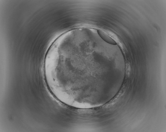 X0000111210863200908121131