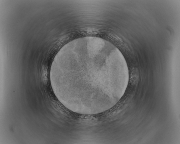 X0000111210866200908121130