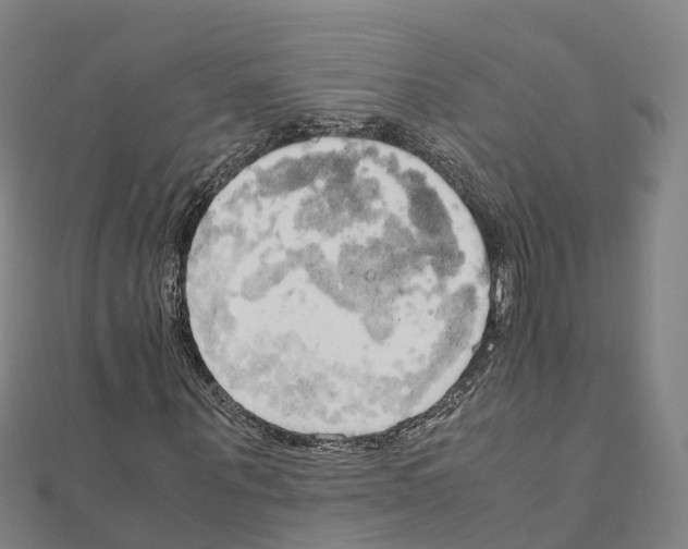 X0000111210867200908121130