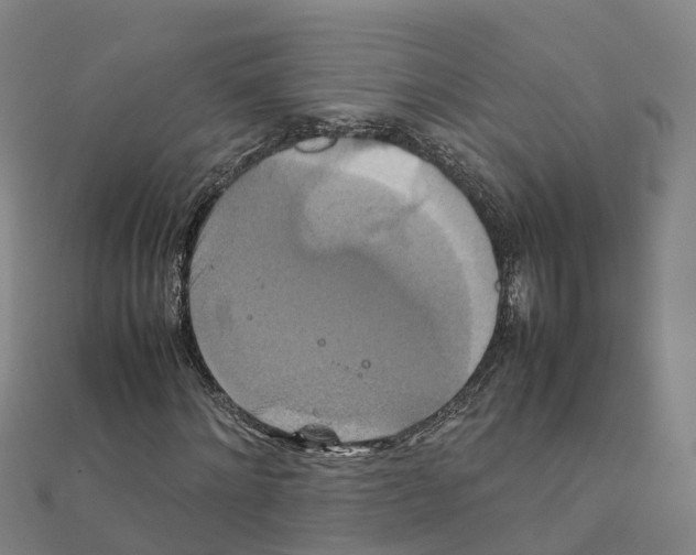 X0000111210868200908121130