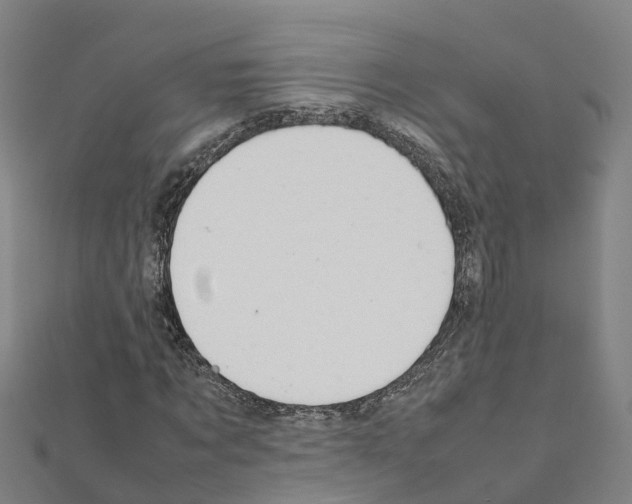 X0000111210869200908121130