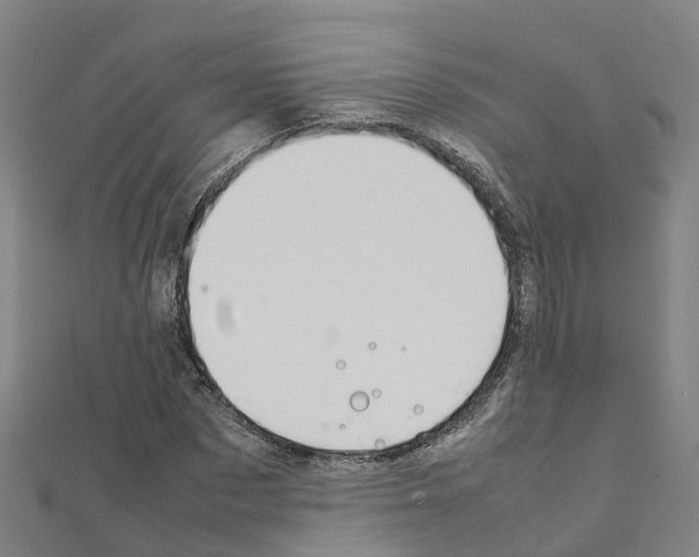 X0000111210873200908121130