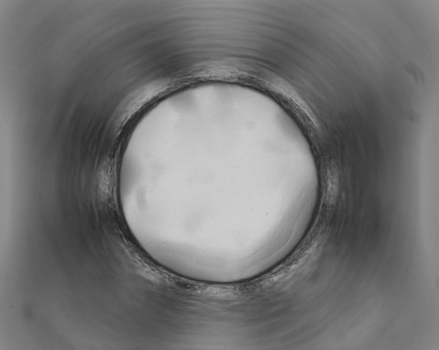 X0000111210874200908121130