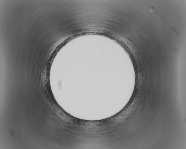 X0000111210875200908121130