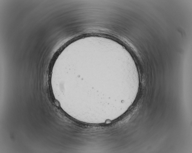 X0000111210877200908121130