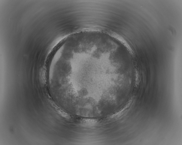 X0000111210878200908121130