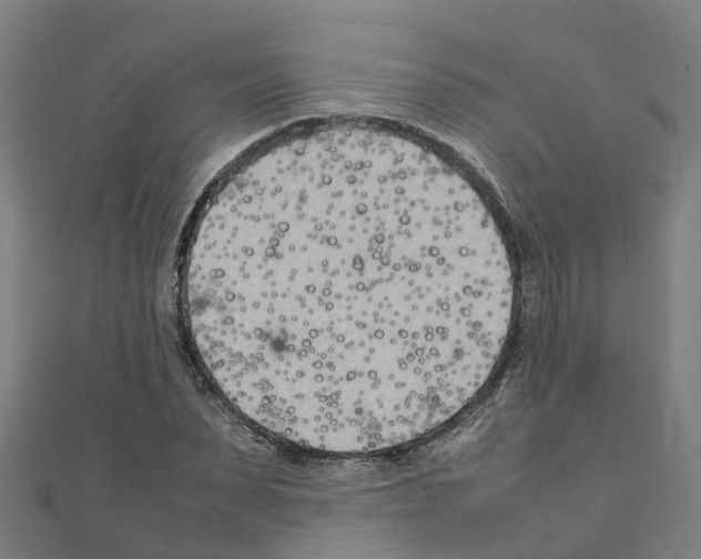 X0000111210879200908121130