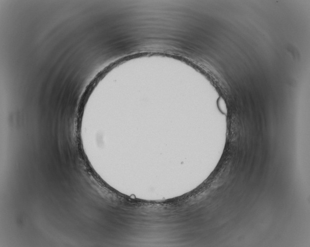 X0000111210880200908121130