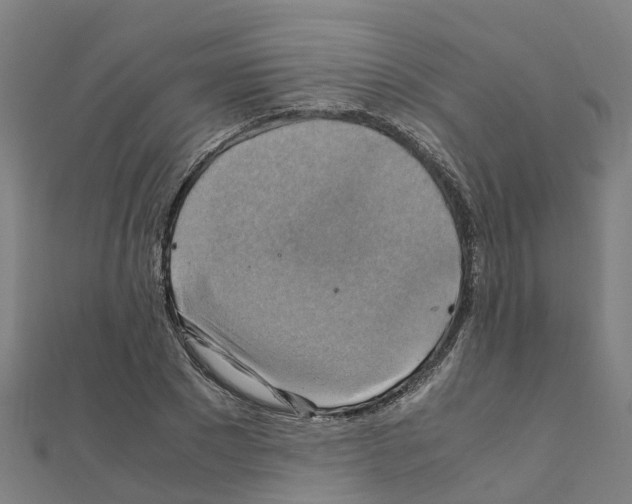 X0000111210881200908121130