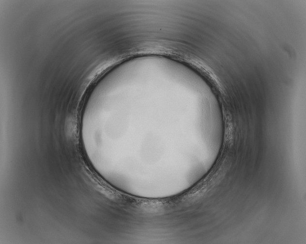 X0000111210882200908121130