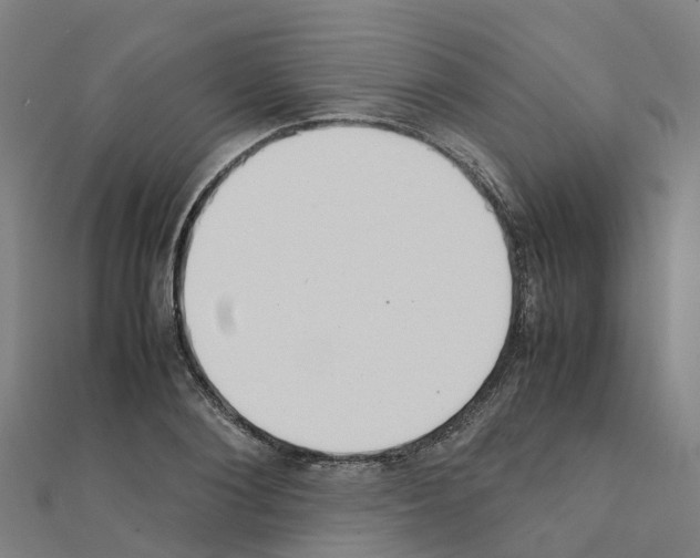 X0000111210884200908121130