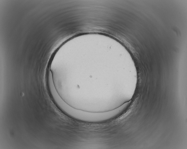 X0000111210885200908121130