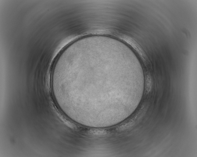 X0000111210886200908121130