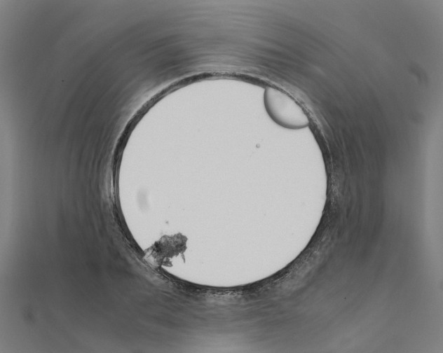 X0000111210887200908121130