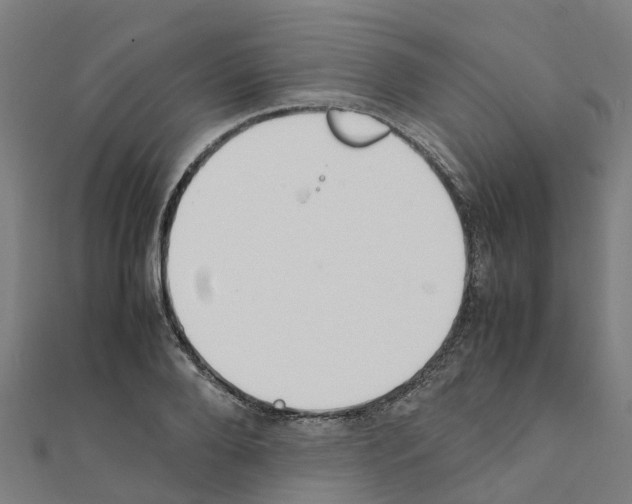 X0000111210888200908121130