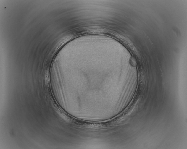 X0000111210889200908121130